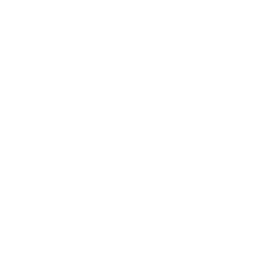 Logo PPPAII